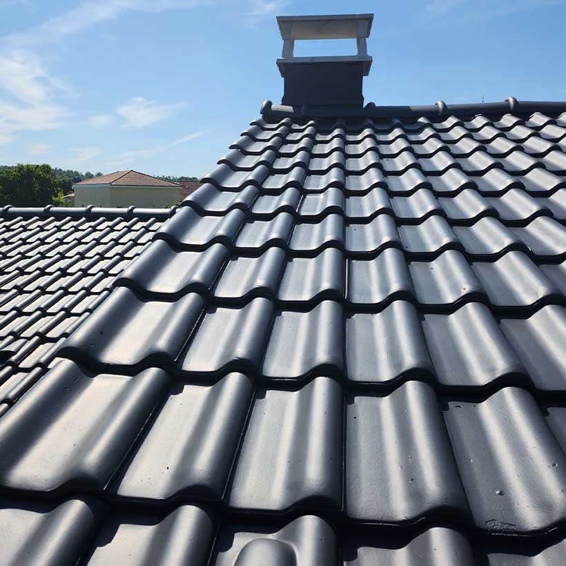 Nettoyage et Démoussage de Toiture – Préservez la Durabilité de Votre Toit